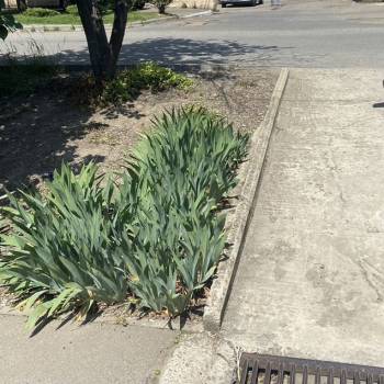 Продается Участок, 270 м²