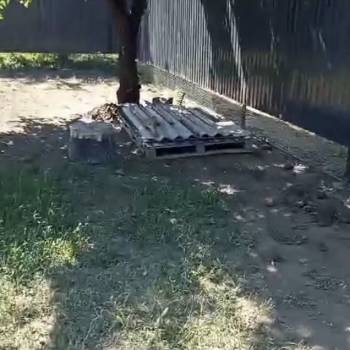 Продается Участок, 270 м²