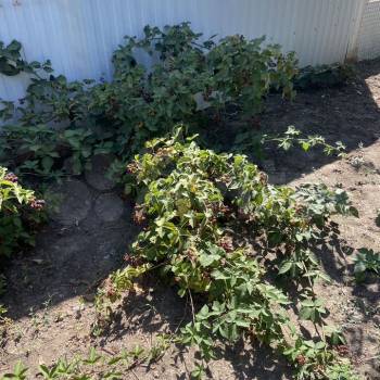 Продается Участок, 270 м²