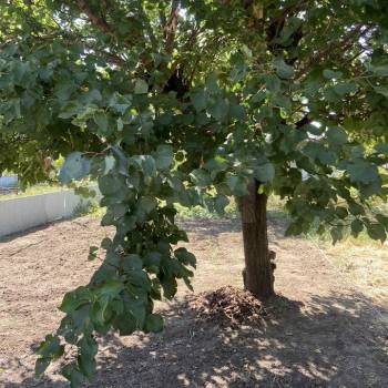 Продается Участок, 270 м²