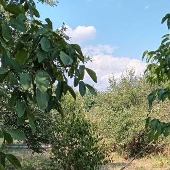 Продается Участок, 600 м²