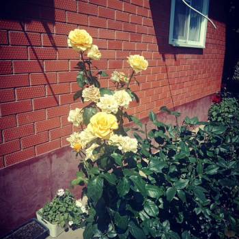 Продается Дом, 127 м²