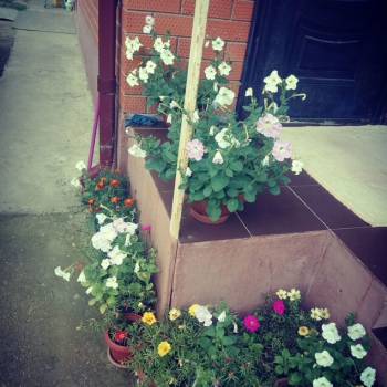 Продается Дом, 127 м²