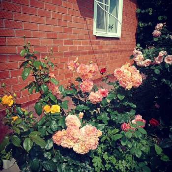 Продается Дом, 127 м²