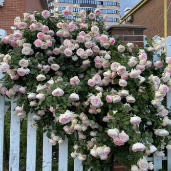 Продается Дом, 190 м²