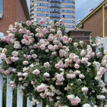 Продается Дом, 190 м²