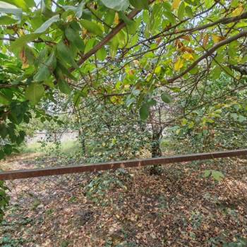 Продается Участок, 400 м²