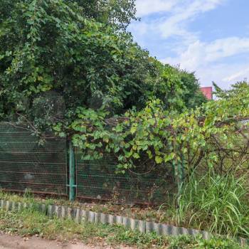 Продается Участок, 400 м²