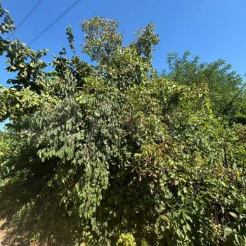 Продается Участок, 400 м²