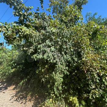 Продается Участок, 400 м²