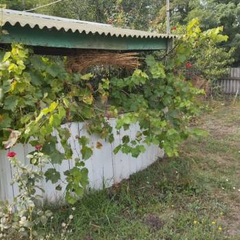 Продается Участок, 800 м²