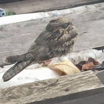 Продается Участок, 600 м²