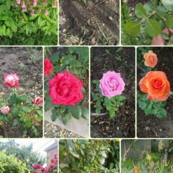 Продается Участок, 600 м²