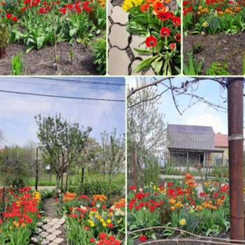 Продается Участок, 600 м²