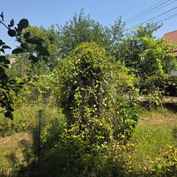 Продается Участок, 600 м²