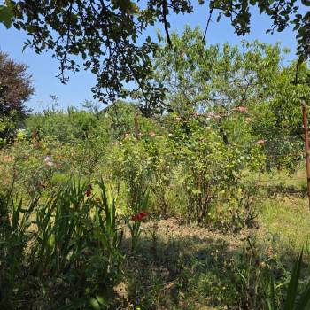 Продается Участок, 600 м²