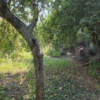 Продается Участок, 600 м²