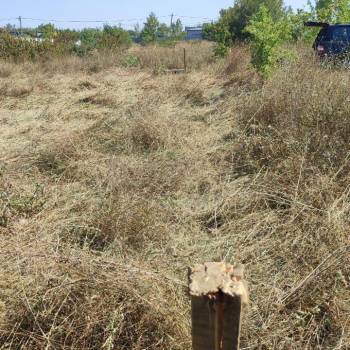 Продается Участок, 1000 м²