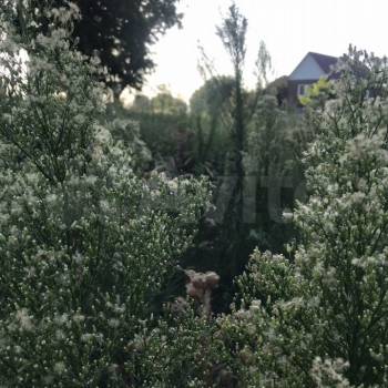 Продается Участок, 600 м²