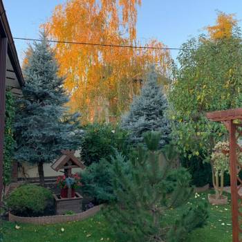 Продается Дом, 230 м²