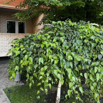 Продается 2-х комнатная квартира, 70,1 м²