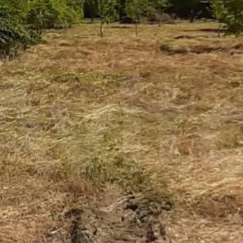 Продается Участок, 800 м²