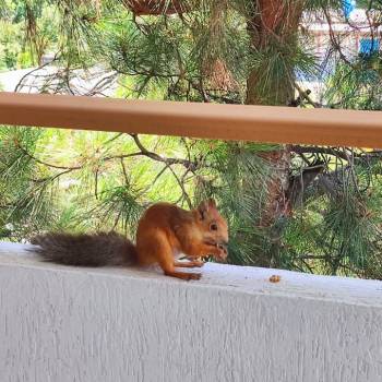 Продается 3-х комнатная квартира, 79,2 м²