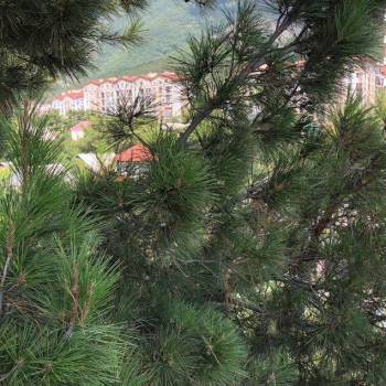 Продается 3-х комнатная квартира, 79,2 м²