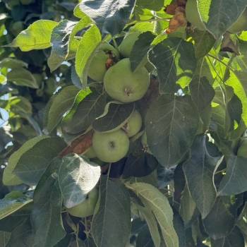 Продается Дом, 112 м²