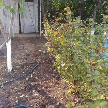 Продается Дом, 20 м²