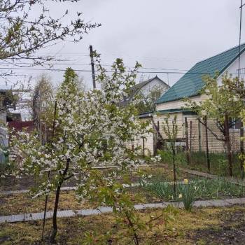 Продается Дом, 36 м²