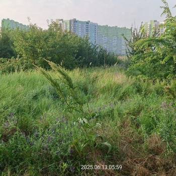 Продается Участок, 460 м²