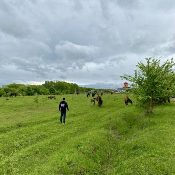 Продается Дом, 26 м²