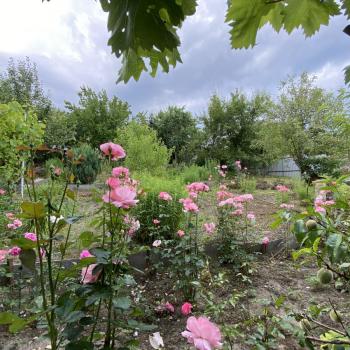 Продается Дом, 26 м²