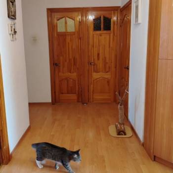 Продается 3-х комнатная квартира, 61,8 м²