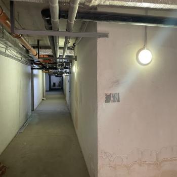 Сдается Нежилое помещение, 11 м²