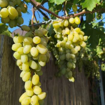 Продается Дом, 124 м²