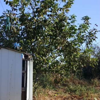 Продается Дом, 37 м²