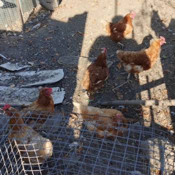 Продается Дом, 37 м²