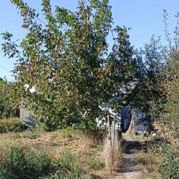 Продается Дом, 37 м²