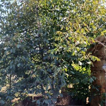 Продается Дом, 37 м²