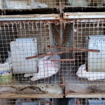 Продается Дом, 37 м²