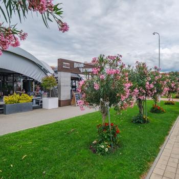 Продается 1-комнатная квартира, 32 м²