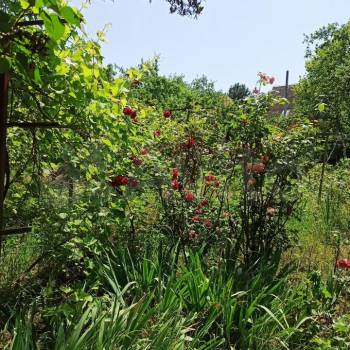 Продается Участок, 950 м²