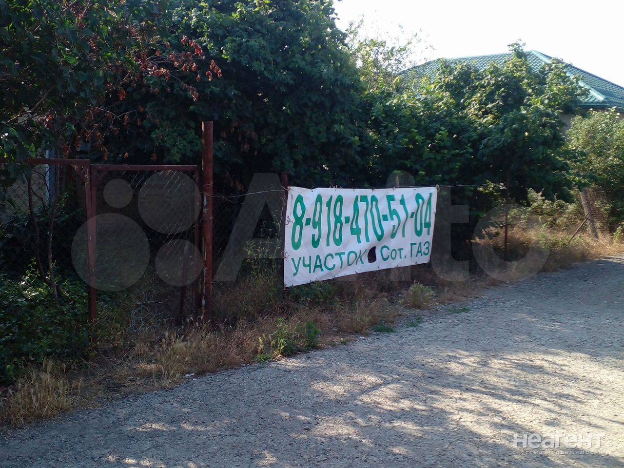 Фотография №3