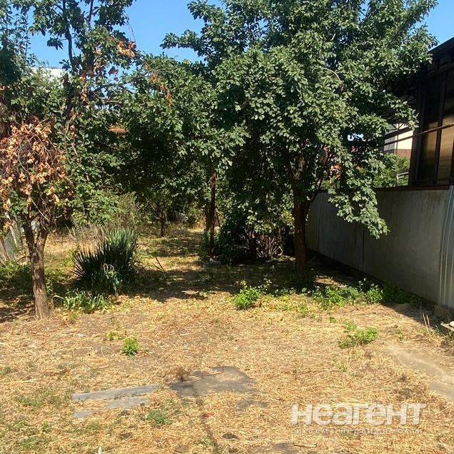 Фотография №3