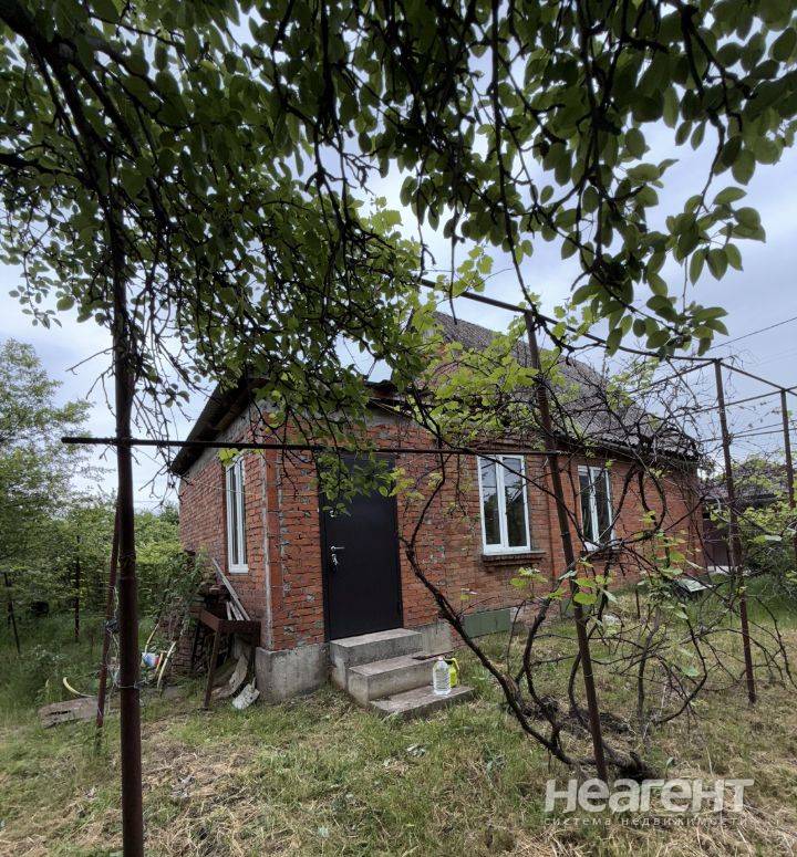 Фотография №3