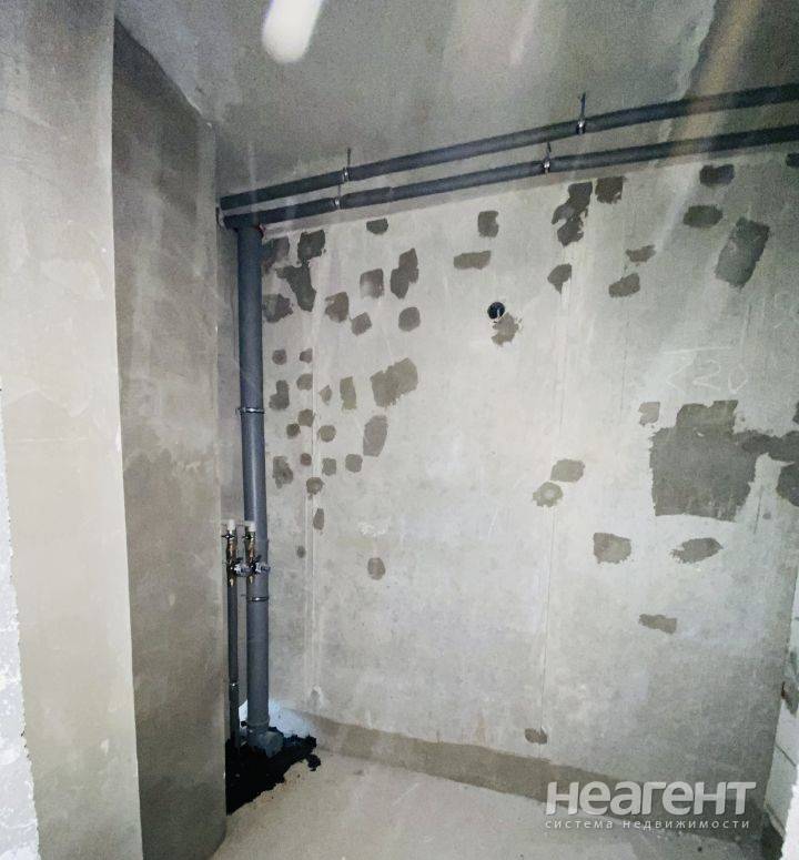 Фотография №3