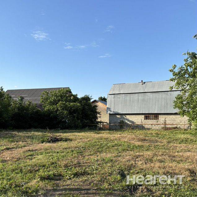 Фотография №2