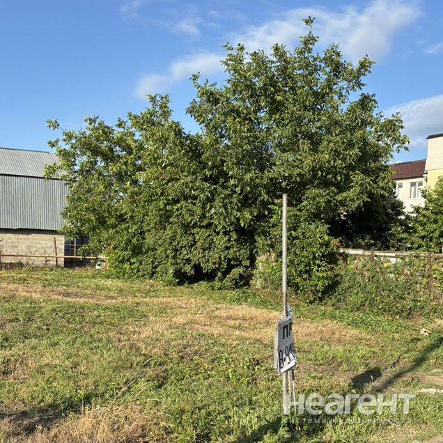 Фотография №3